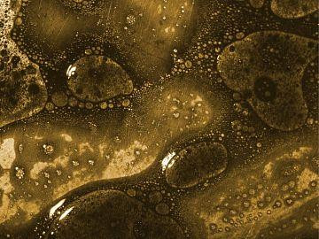 Многокомпонентная прозрачная органическая жидкость Манопур Клинер Л Астана - изображение 1