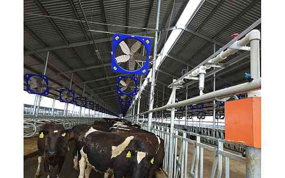 Вентилятор для коров FBA012 Нур-Султан