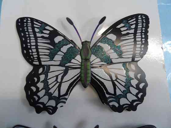 Декоративные бабочки Лисаковск