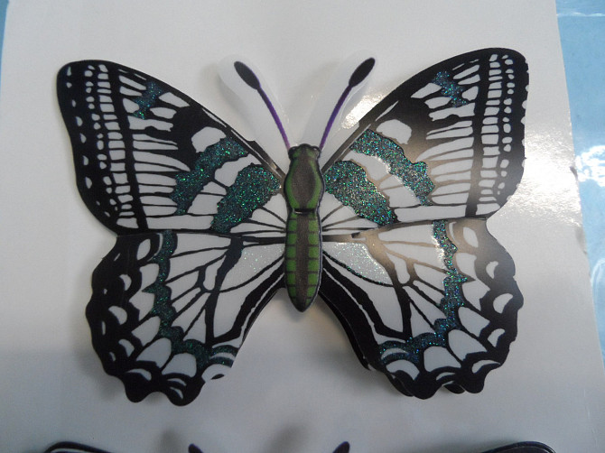 Декоративные бабочки Лисаковск - изображение 3
