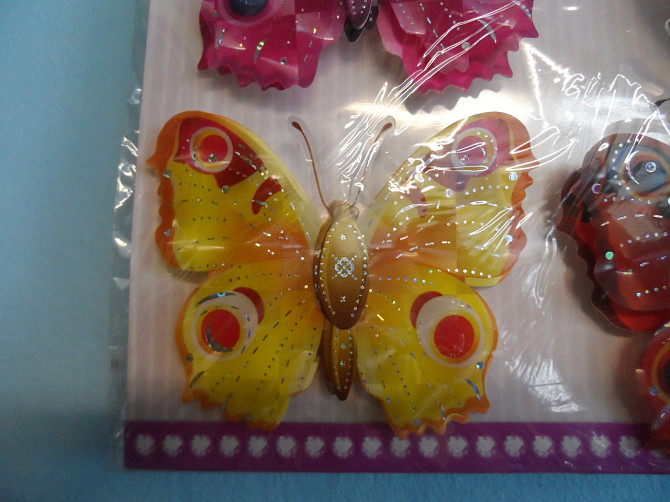 Декоративные бабочки Лисаковск - изображение 4