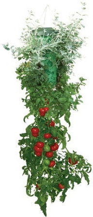 Плантатор для овощей и фруктов Topsy Turvy Алматы - изображение 2