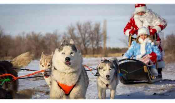 Дед мороз и снегурочка вызов на дом Павлодар