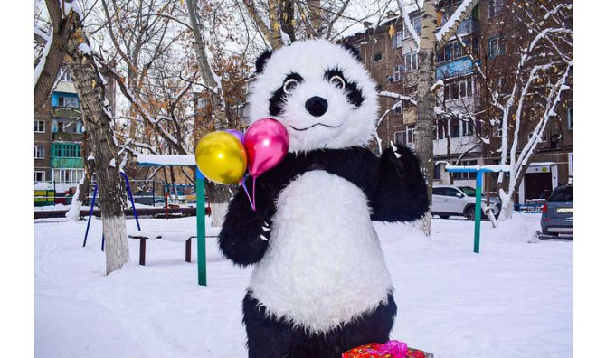 Поздравление 3х метрового панды Караганда - изображение 1