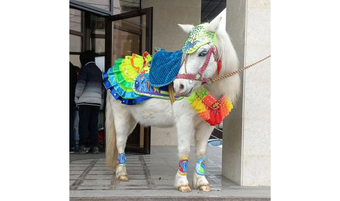 Заказать катание на Пони на Детский праздник. Алматы - изображение 2