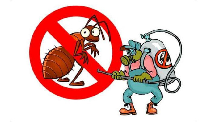 Дезинсекция,дезинфекция,дератизация,тараканы,клопы,муравьи,крысы Караганда - изображение 2