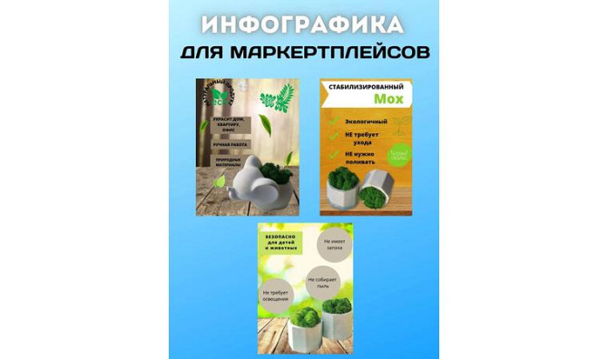 Инфографика для маркертплейсов Тараз - изображение 2