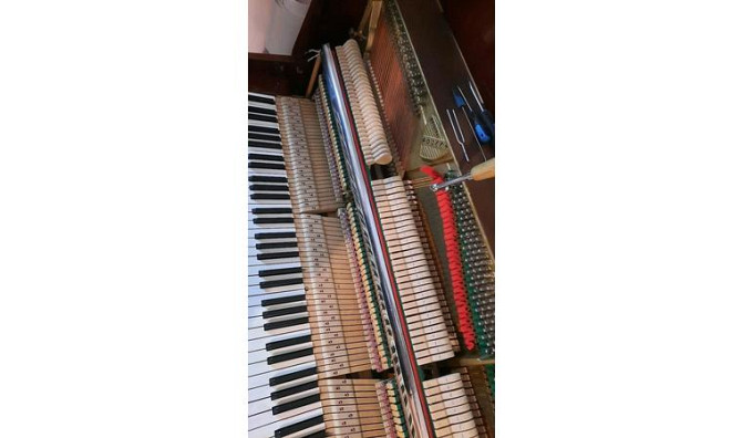 Фортепианоға тюнинг, фортепиано, рояль, Алматы Алматы - изображение 2